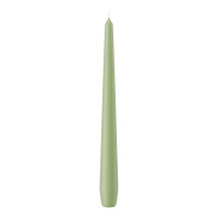 Spitzkerzen Pastell Grün Aloe Vera 250 x Ø 25...