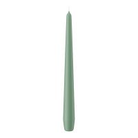 Spitzkerzen Reseda 250 x Ø 25 mm, 12 Stück