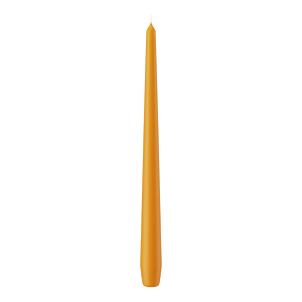 Spitzkerzen Natur 300 x Ø 25 mm, 12 Stück