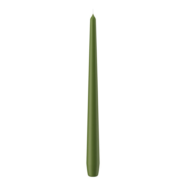 Spitzkerzen Olive 300 x Ø 25 mm, 12 Stück