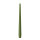 Spitzkerzen Olive 300 x Ø 25 mm, 12 Stück