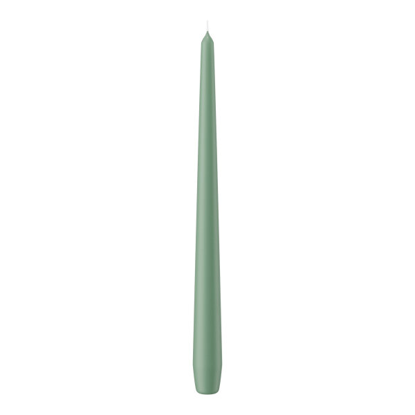 Spitzkerzen Reseda 300 x Ø 25 mm, 12 Stück