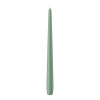 Spitzkerzen Reseda 300 x Ø 25 mm, 12 Stück