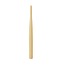 Spitzkerzen Champagner 300 x Ø 25 mm, 12 Stück
