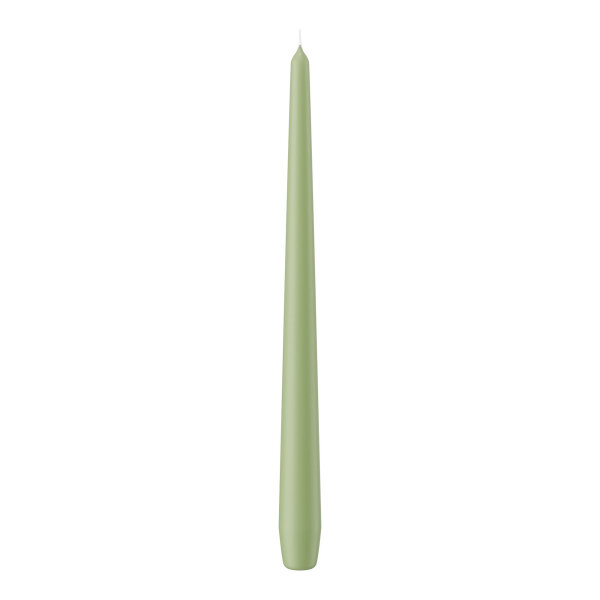 Spitzkerzen Pastell Grün Aloe Vera 300 x Ø 25 mm, 12 Stück