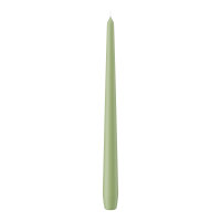Spitzkerzen Pastell Grün Aloe Vera 300 x Ø 25...
