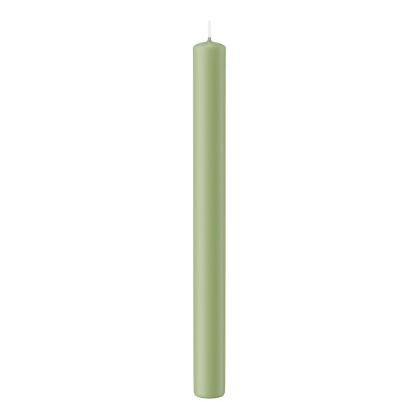 Stabkerzen Pastell Grün Aloe Vera 250 x Ø 22 mm, 10 Stück