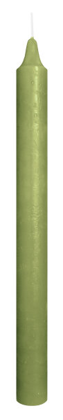 Wiedemann Marble Leuchterkerzen durchgefärbt Olive 250 x 22 mm, 20er Set