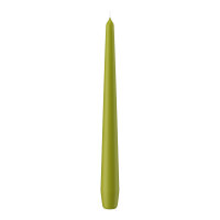 Spitzkerzen Grün 250 x Ø 25 mm, 12 Stück