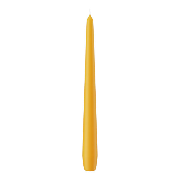 Spitzkerzen Gelb