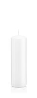 Stumpenkerzen Weiß 150 x Ø 48 mm, 24 Stück