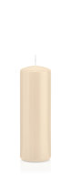 Stumpenkerzen Creme Ø 48 x 150 mm, 24 Stück