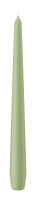 Spitzkerzen Pastell Grün Aloe Vera 250 x Ø 25...
