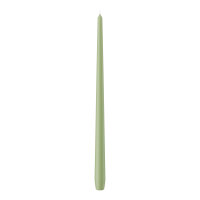 Spitzkerzen durchgefärbt Pastell Grün Aloe Vera...