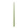 Spitzkerzen durchgefärbt Pastell Grün Aloe Vera 400 x Ø 25 mm, 6 Stück
