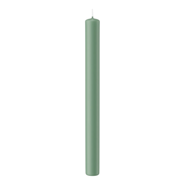Stabkerzen Reseda 250 x Ø 22 mm, 10 Stück