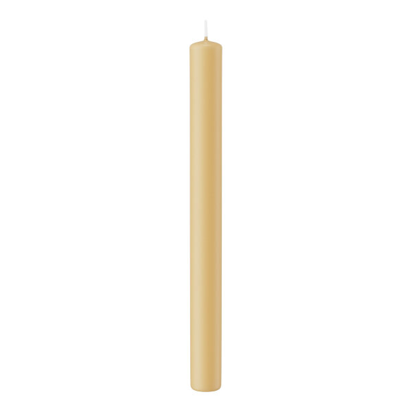 Stabkerzen Champagner 250 x Ø 22 mm, 10 Stück